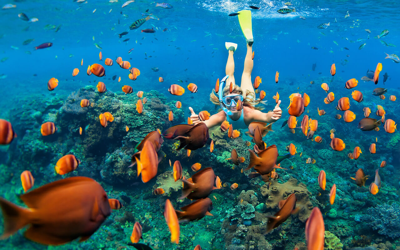 girl in snorkeling mask dive underwater with tropical fishes in coral reef sea pool.