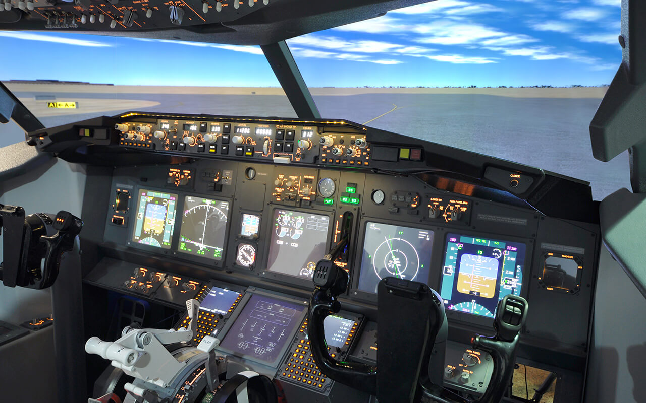 Flight simulator 