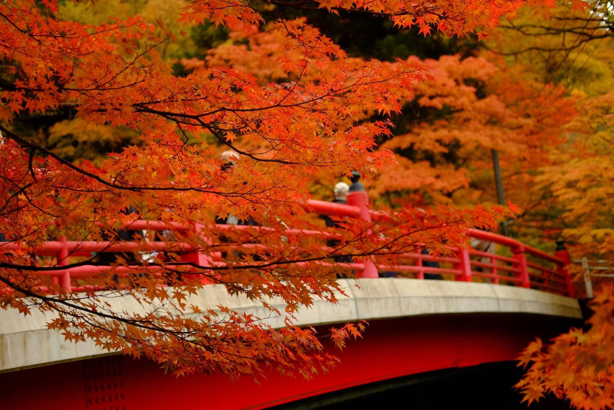 kuroishi, aomori, japan