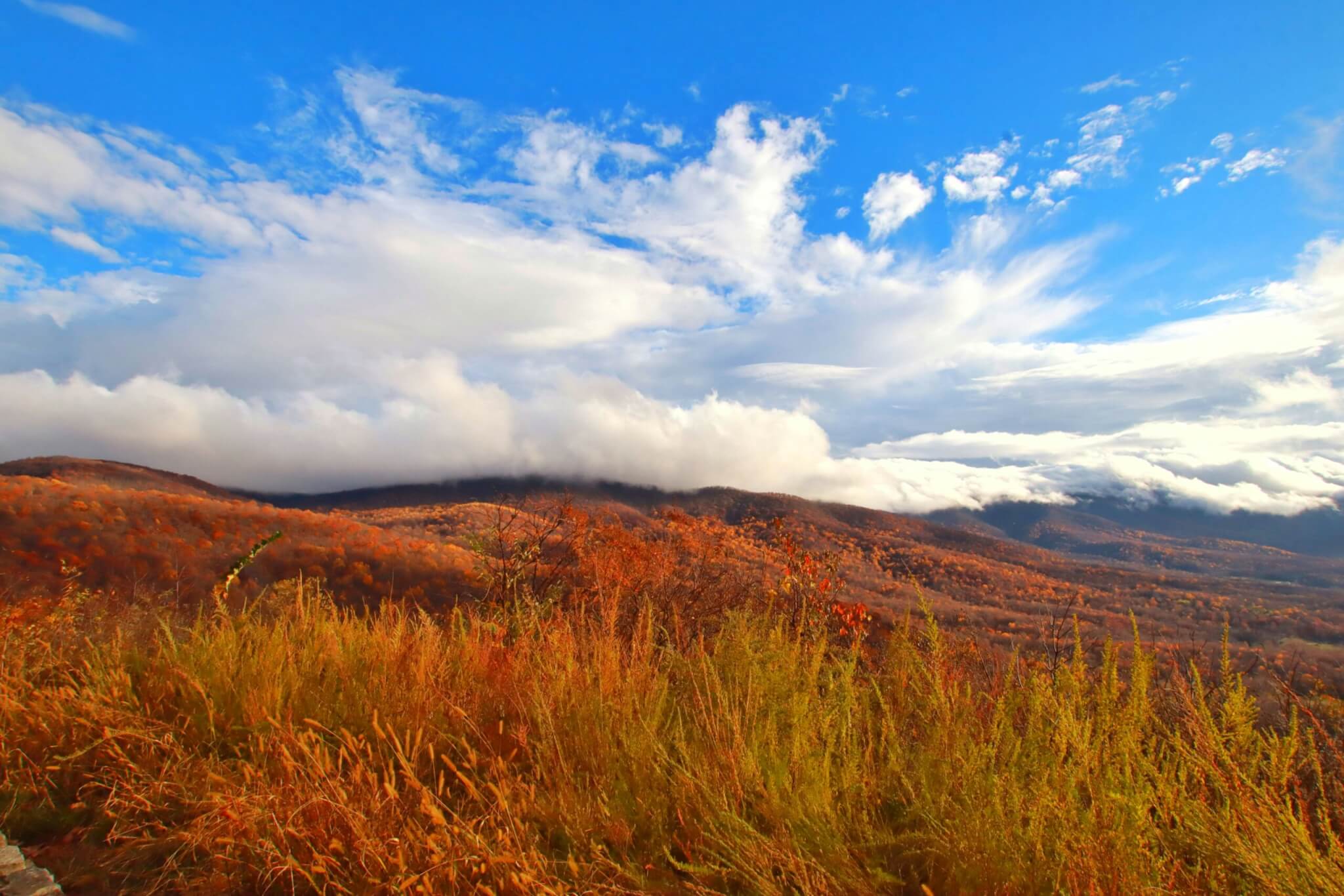 skyline drive, virginia