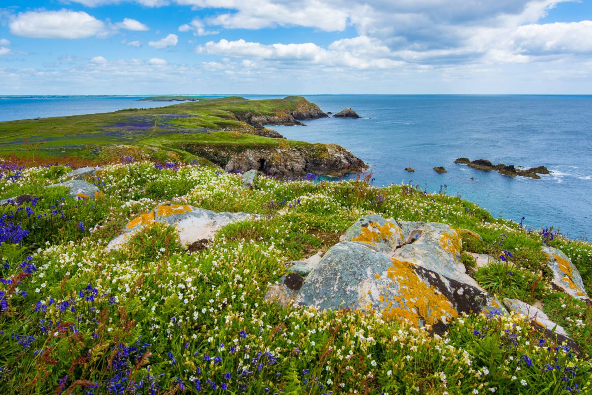 the saltee islands