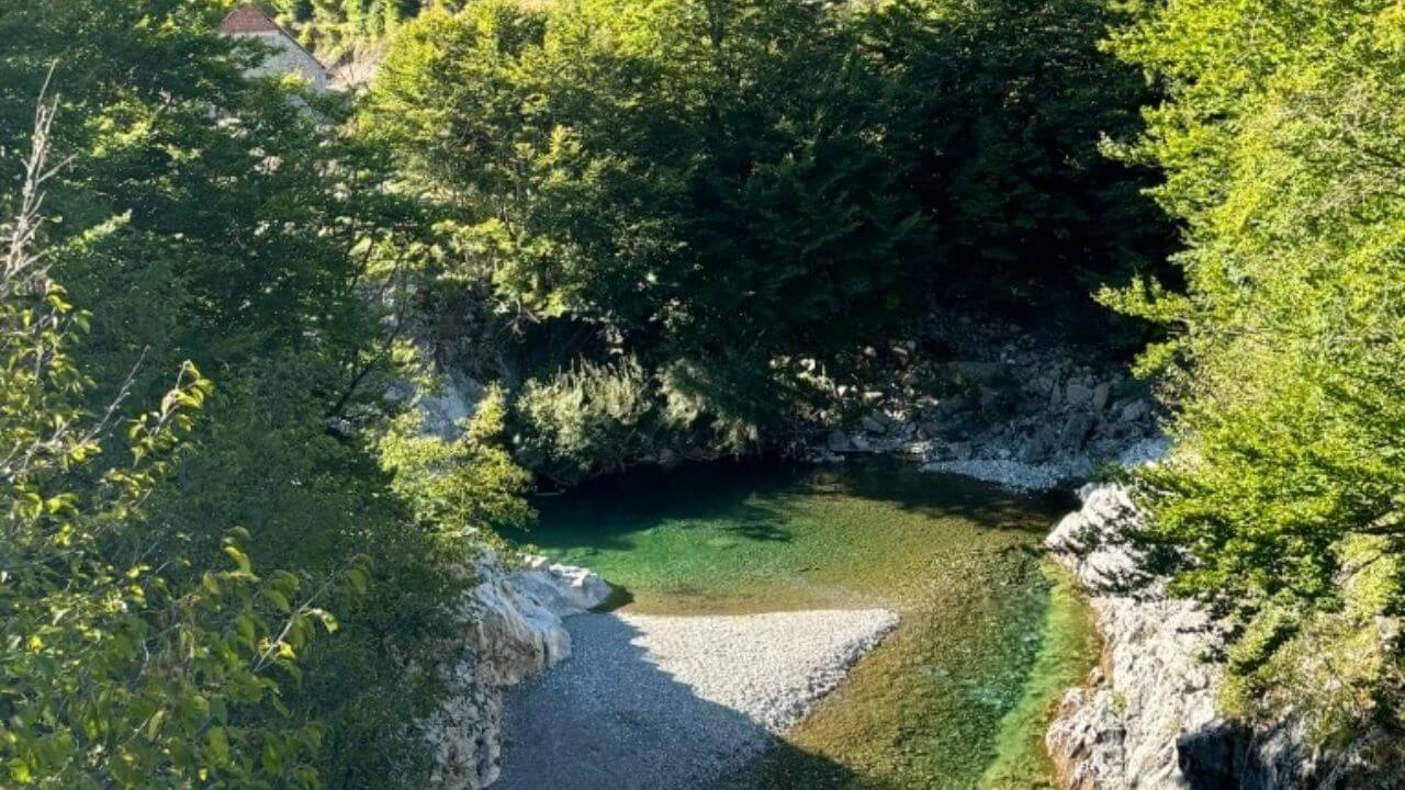 a river runs through the middle of a wooded area