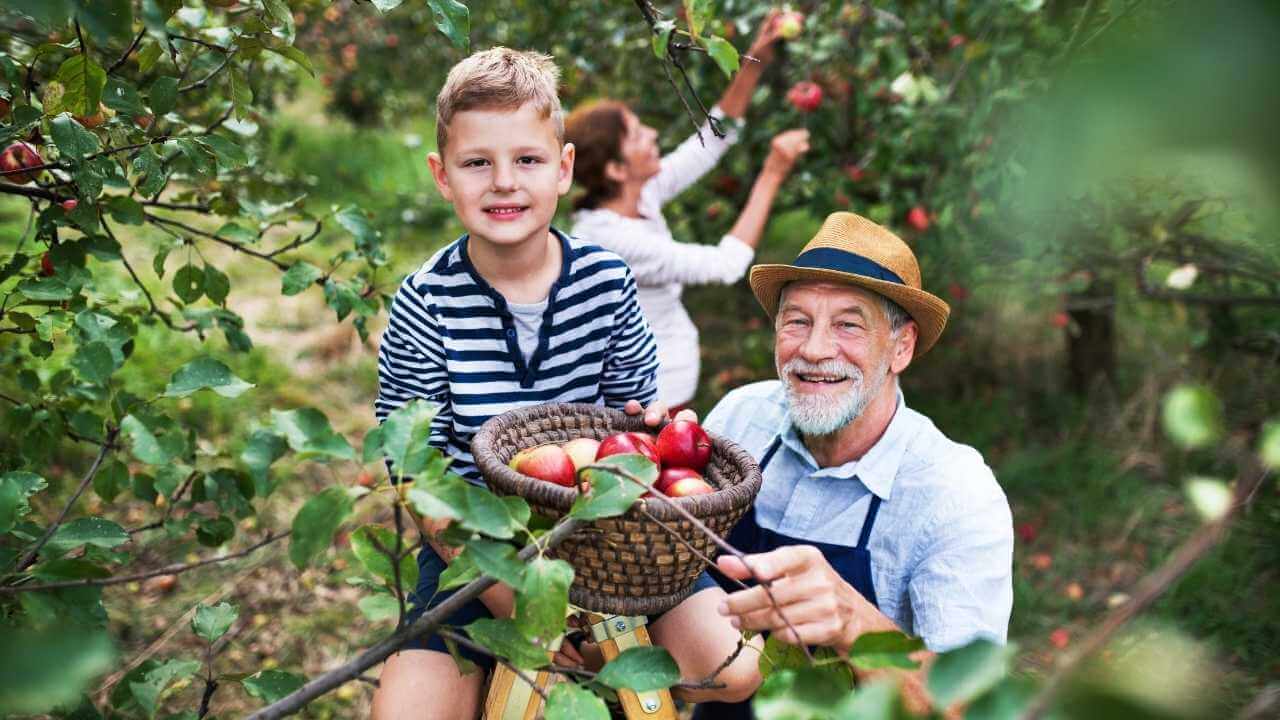 An older person and a young person in an apple orchard