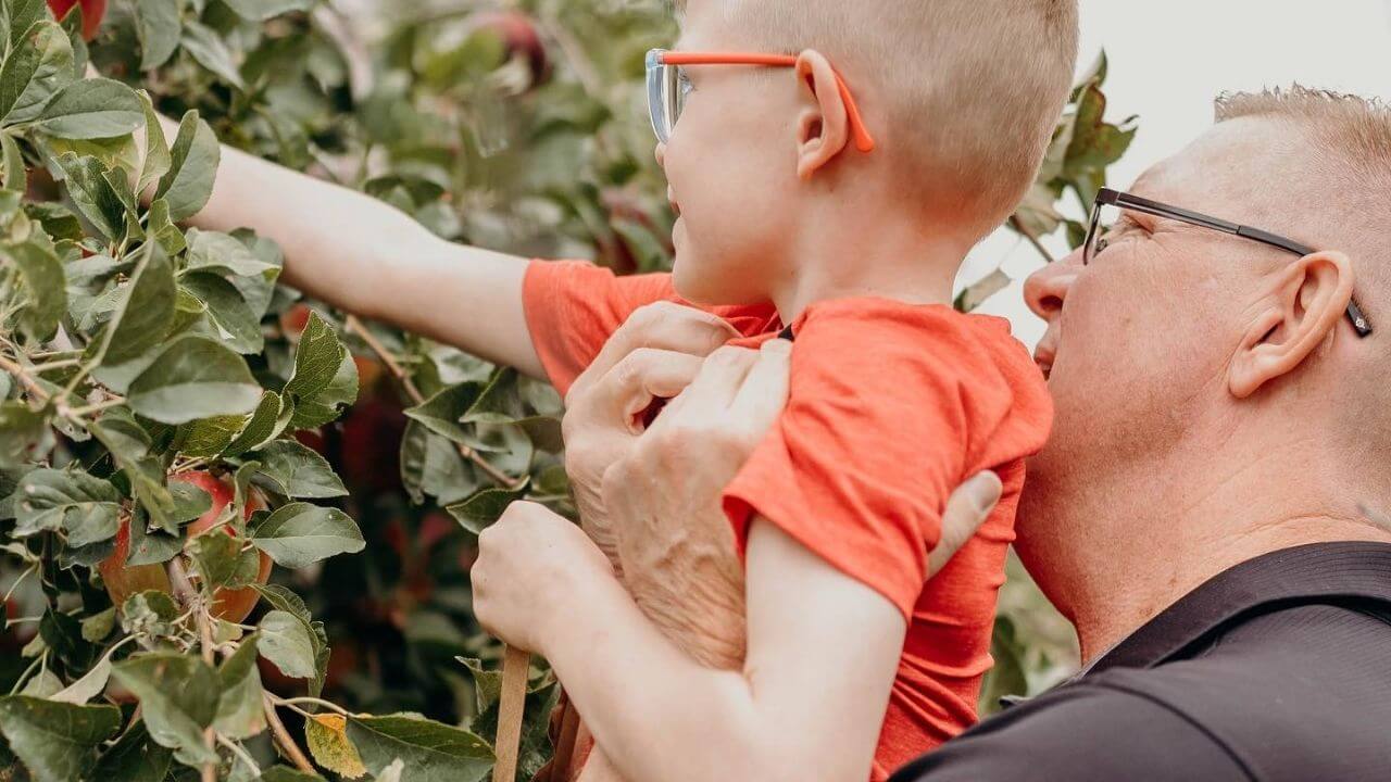 a person and a young child picking apples from an apple tree