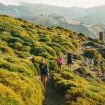 a group of people hiking up a mountain with yellow flowers