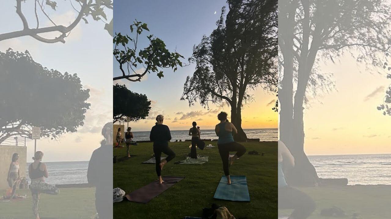 a group of people doing yoga on the grass in front of the ocean