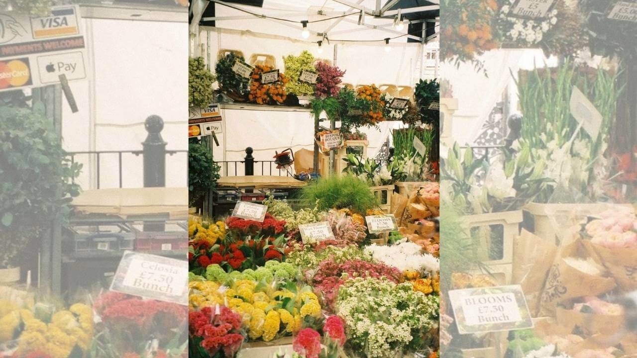 flowers for sale at a market