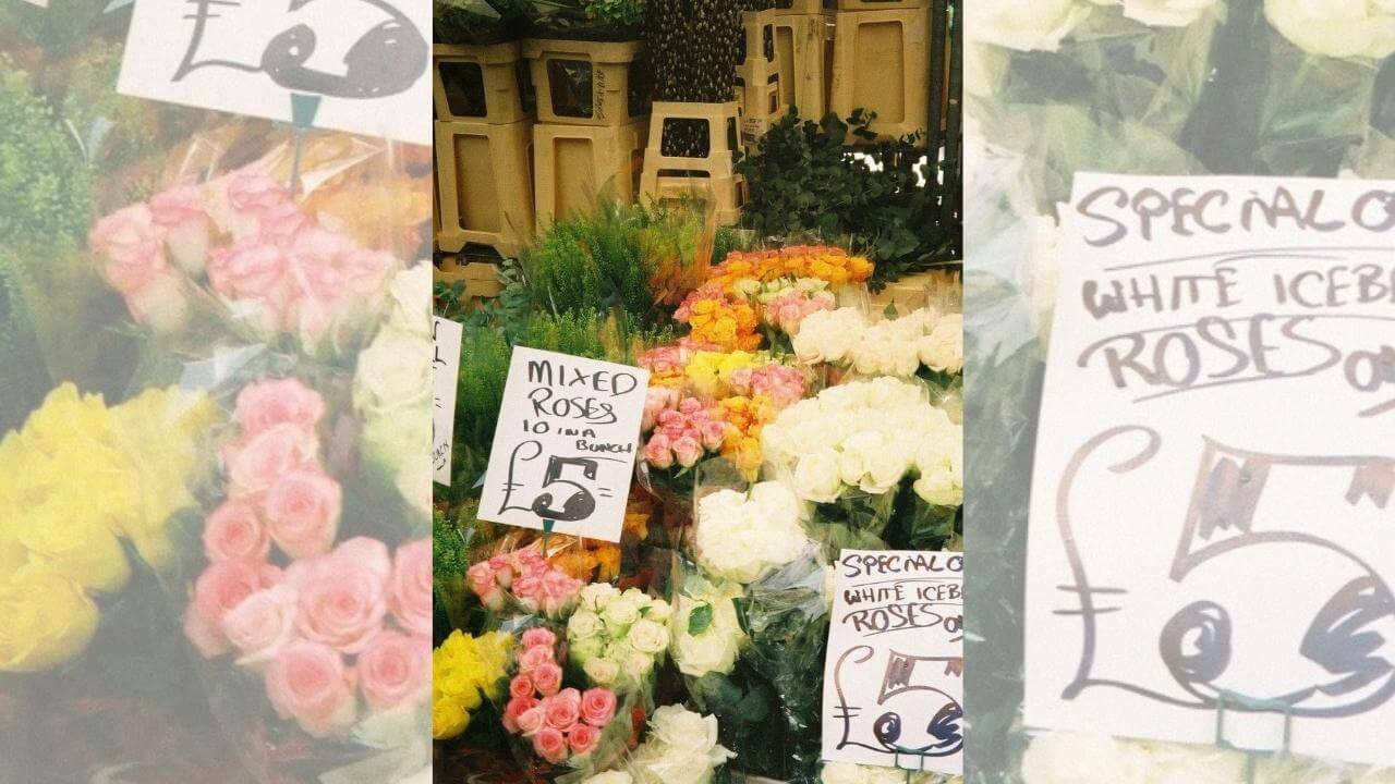 flowers for sale at an outdoor market