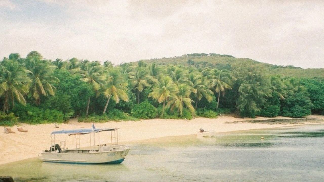 a boat is docked on a sandy beach next to palm trees