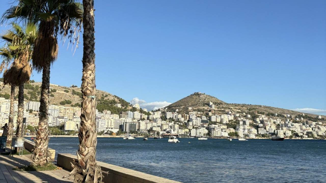 palm trees line the shore of a body of water