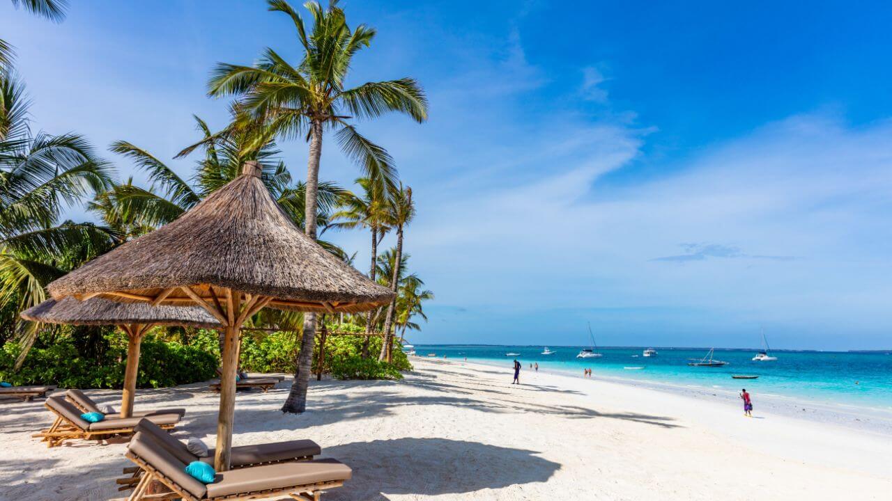 a white sandy beach with palm trees and thatched umbrellas