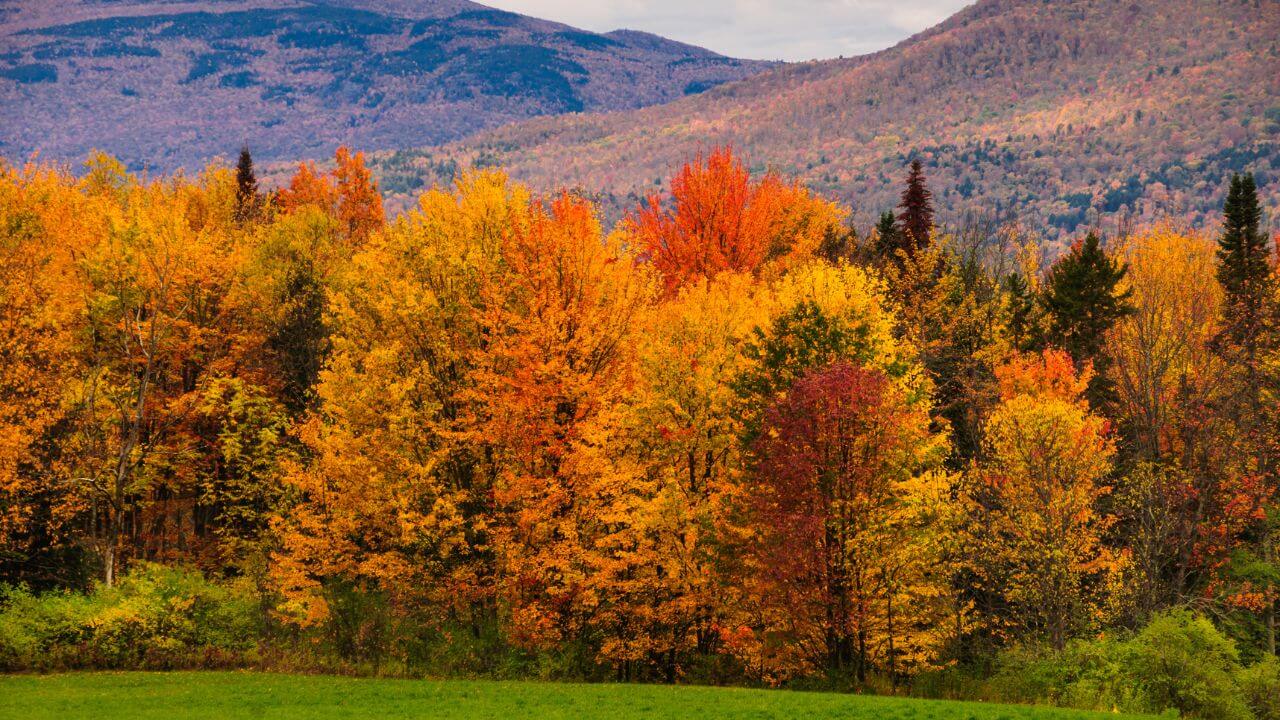 autumn colors in the new hampshire mountains