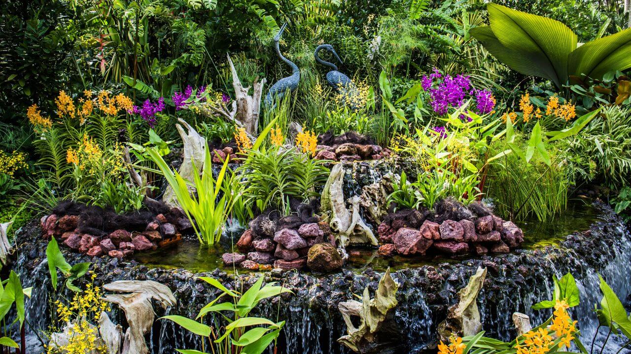 a waterfall in the middle of a tropical garden