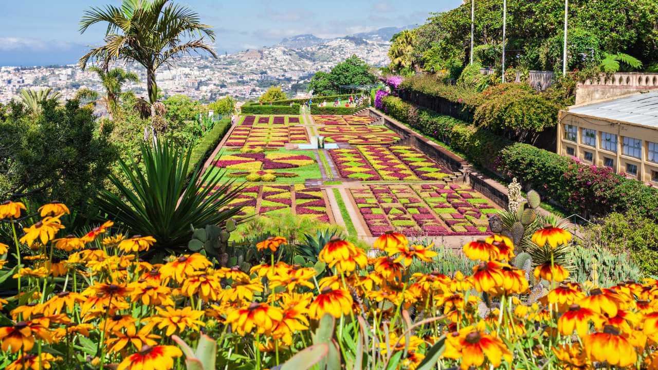 a garden with colorful flowers and mountains in the background