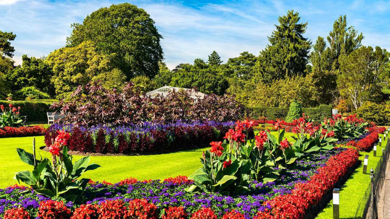 colorful flower beds in a park with grass and trees