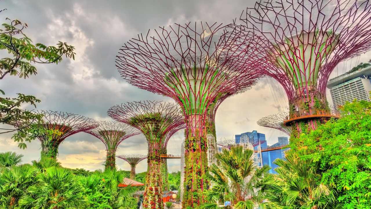 gardens by the bay - singapore stock videos & royalty-free footage