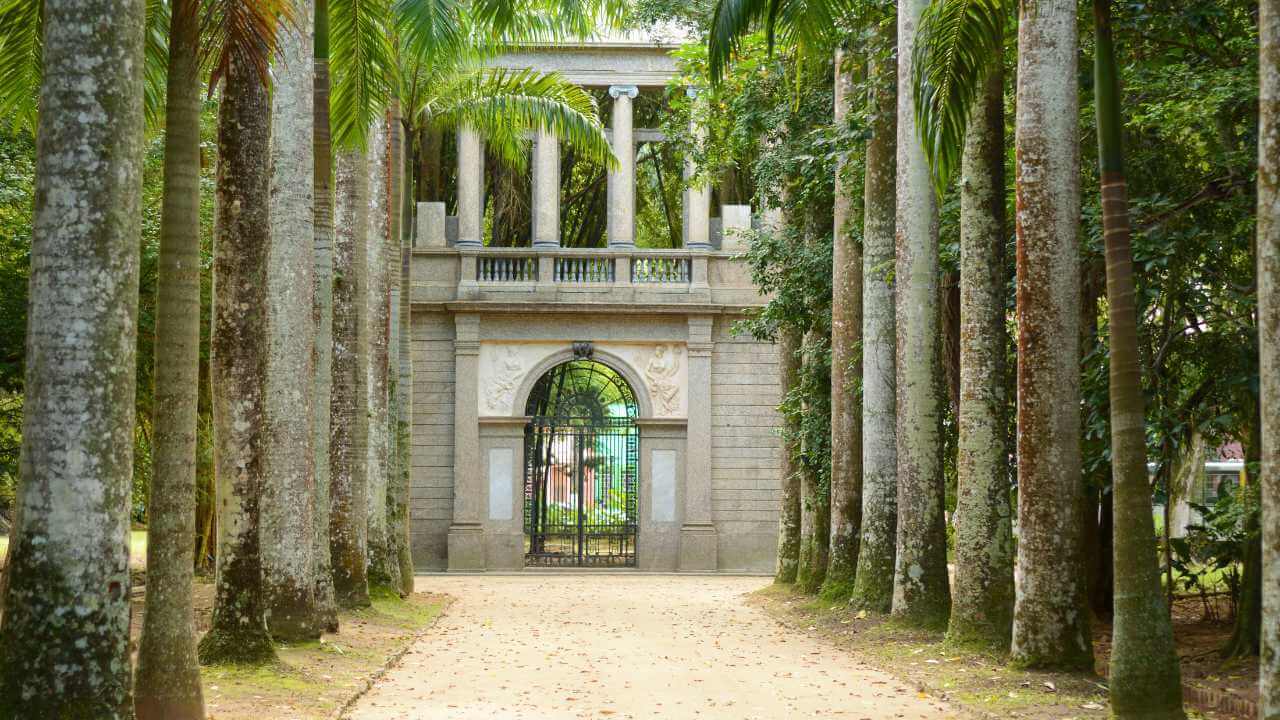 a pathway surrounded by palm trees in the middle of a park