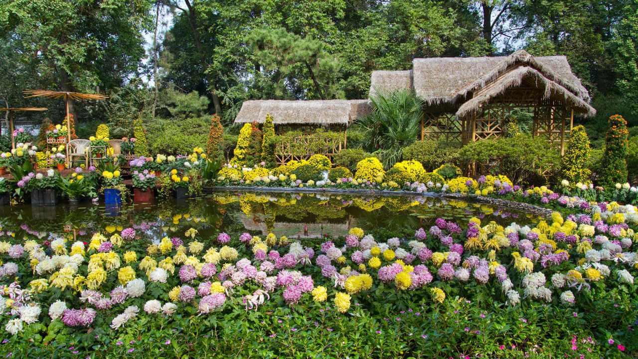 colorful flowers in a garden with a pond and thatched hut