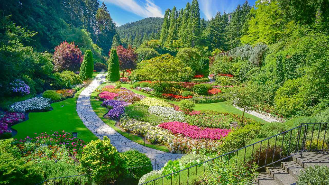 a beautiful garden in the middle of a forest