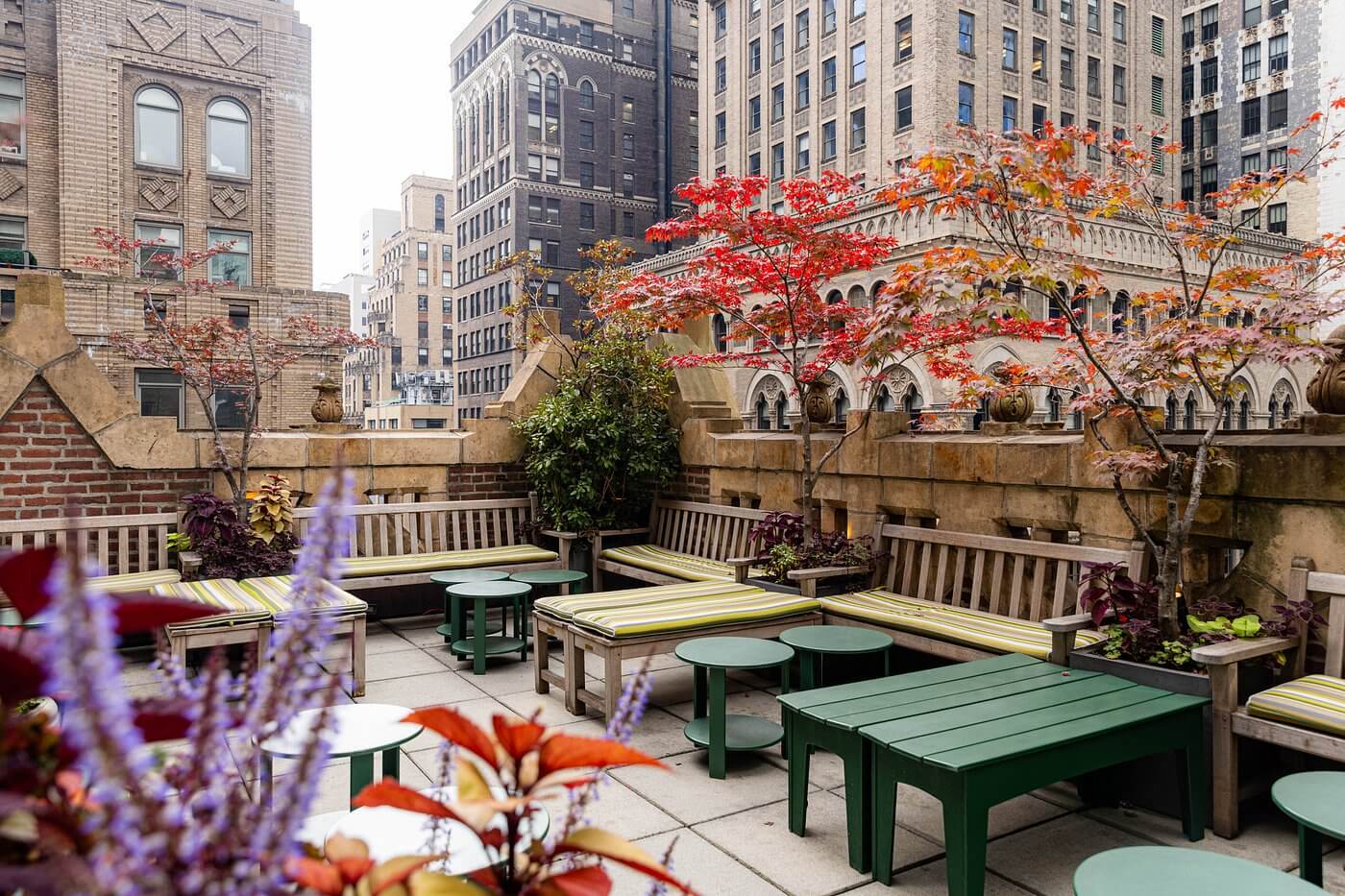 rooftop of the library hotel