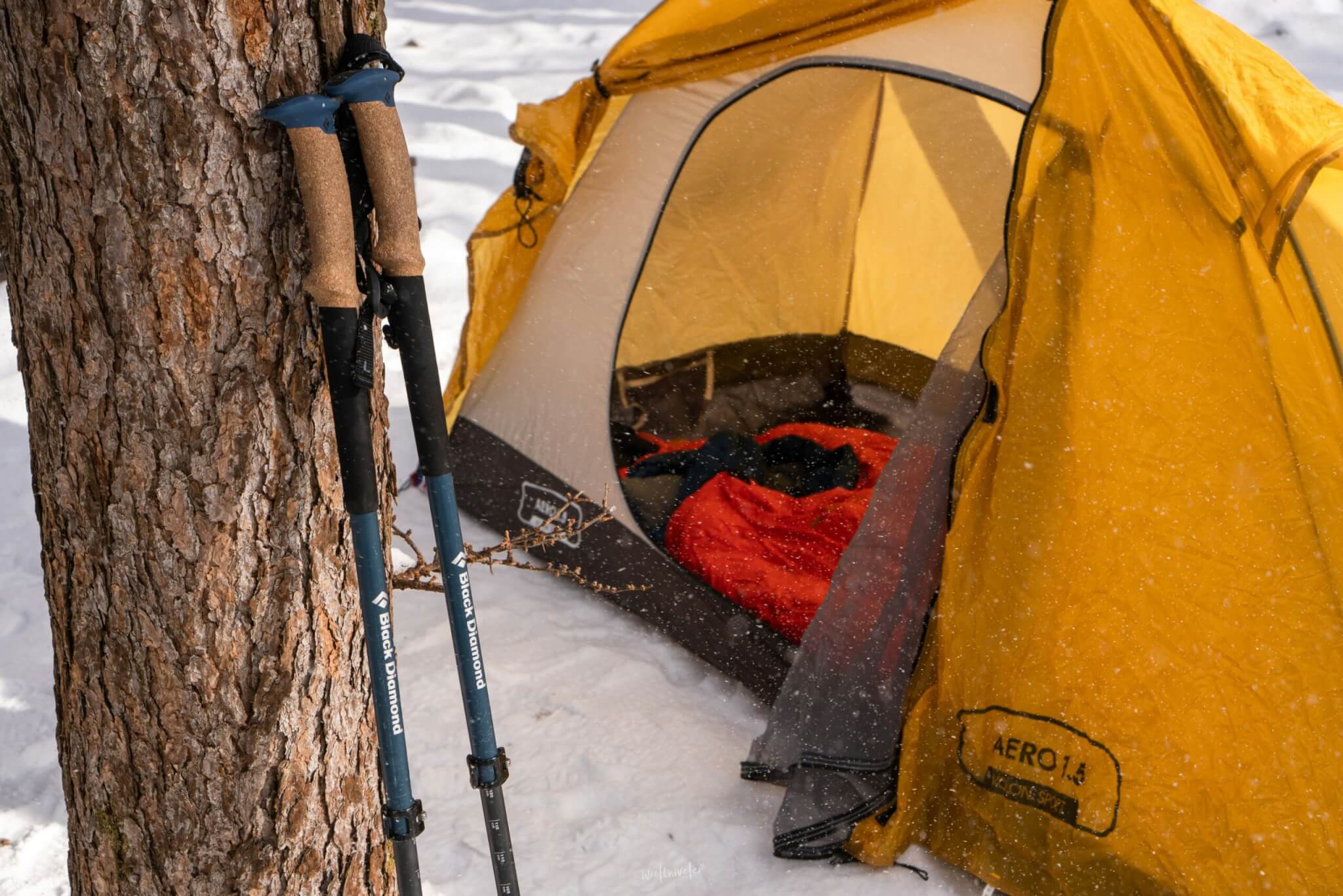 hiking poles and tent