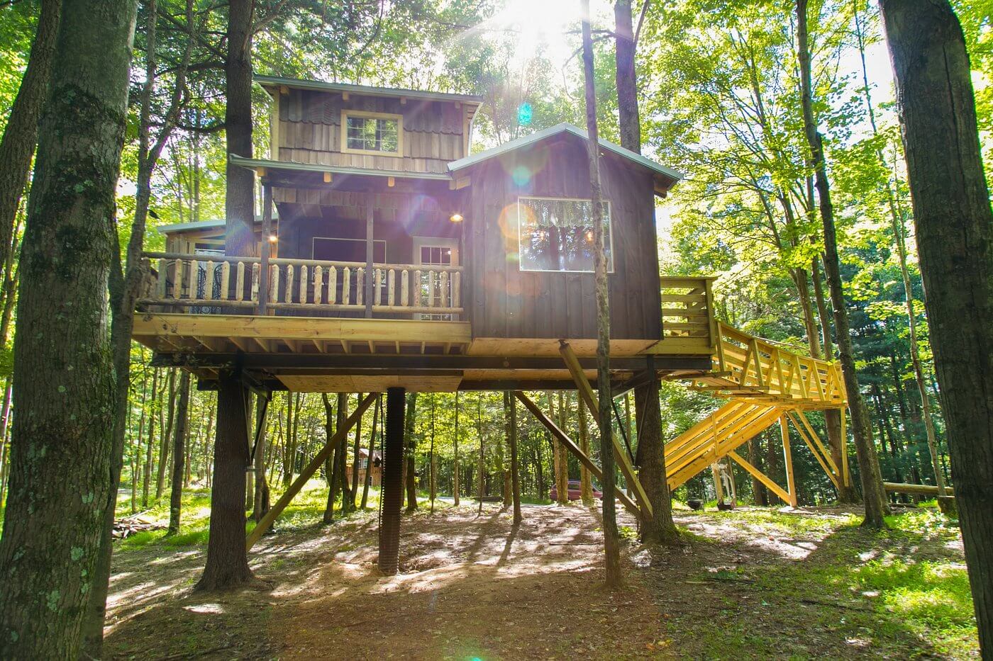 the mohicans treehouse resort