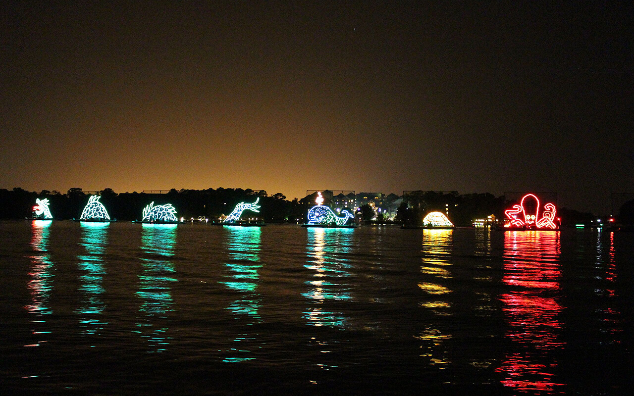 Electrical Water Pageant