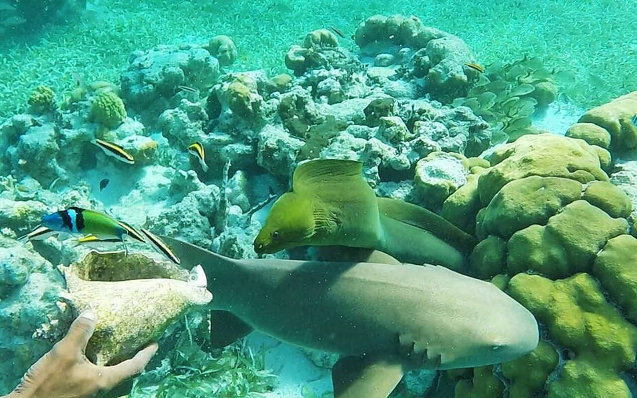 Diving the Blue Hole – Belize