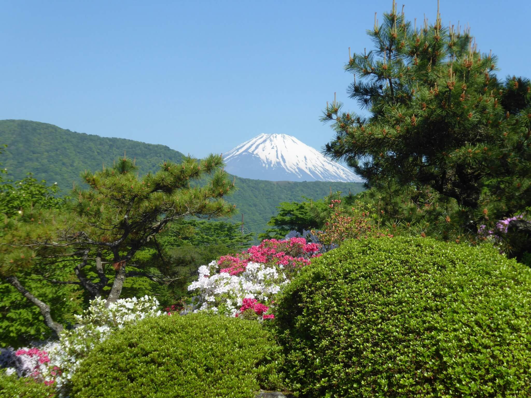 mount fuji