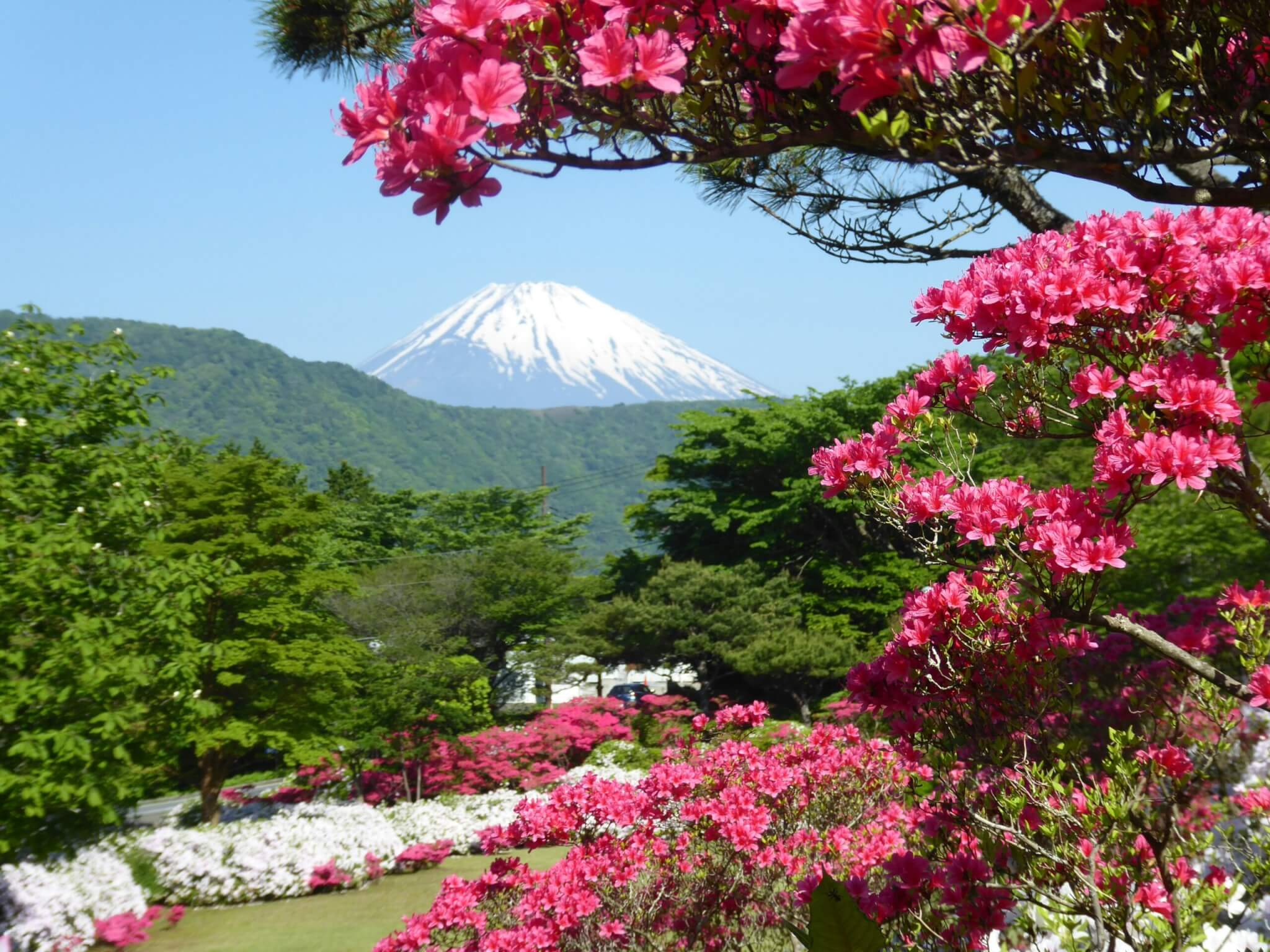 mount fuji