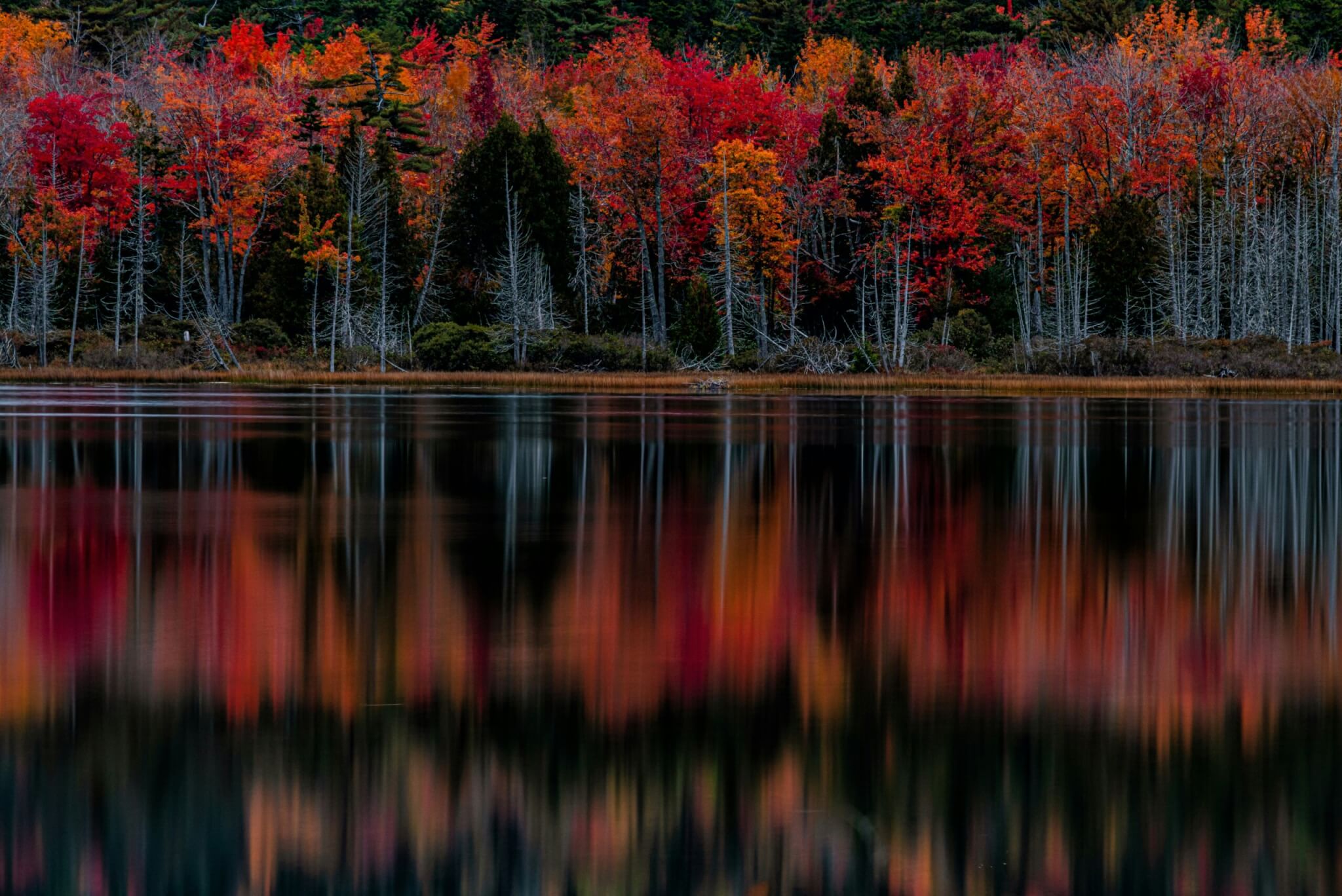 acadia national park