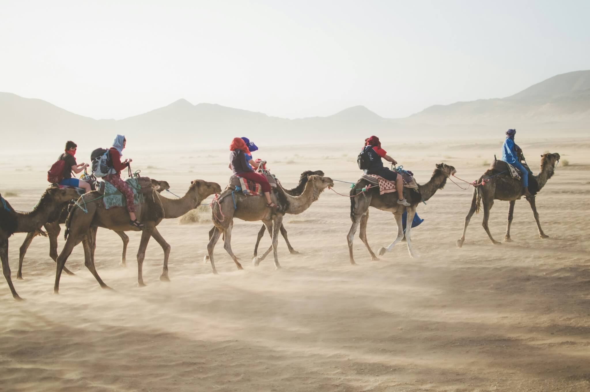 group trip through the desert