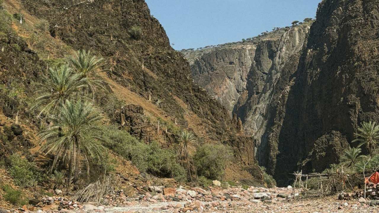 a river is flowing through a canyon in the middle of the desert