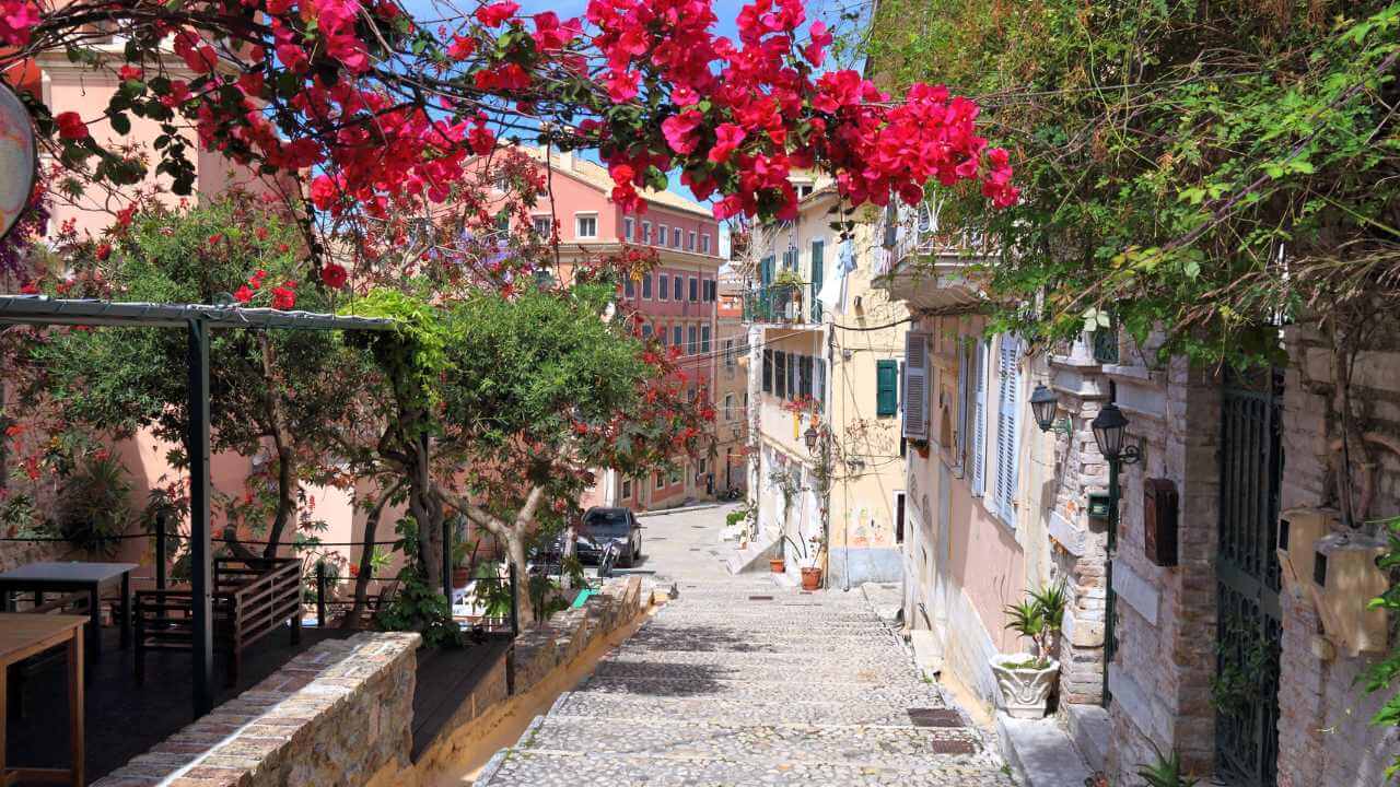 a narrow cobblestone street is lined with red flowers