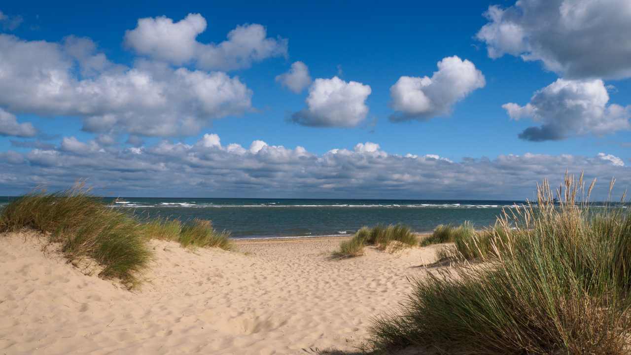 a sandy beach with grass and clouds under a blue sky