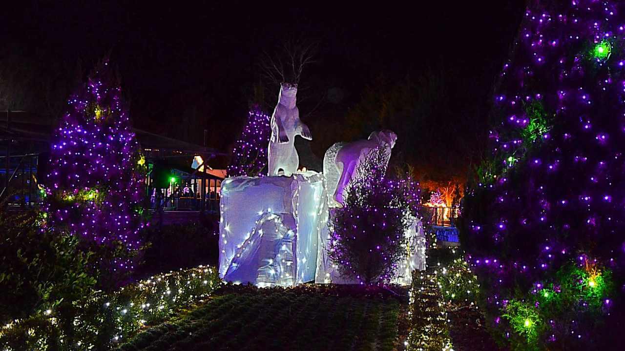 an ice sculpture is lit up with purple and green lights