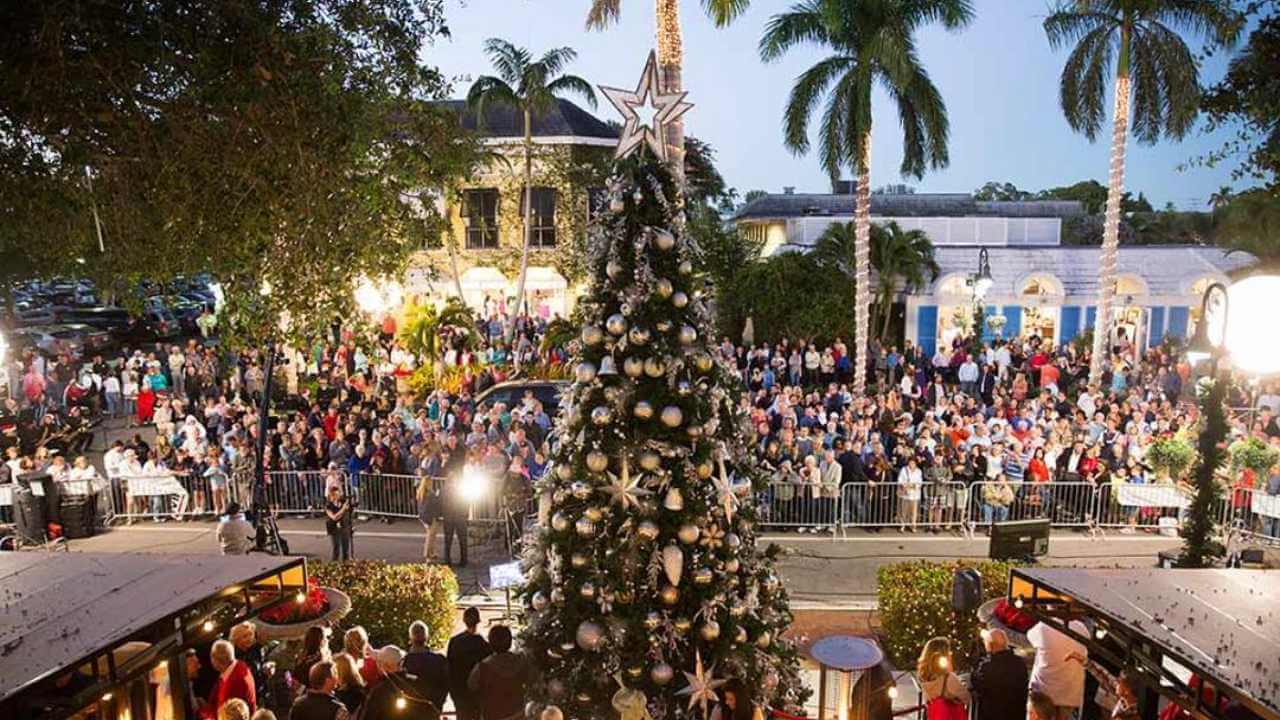 a large crowd of people gathered around a Christmas tree