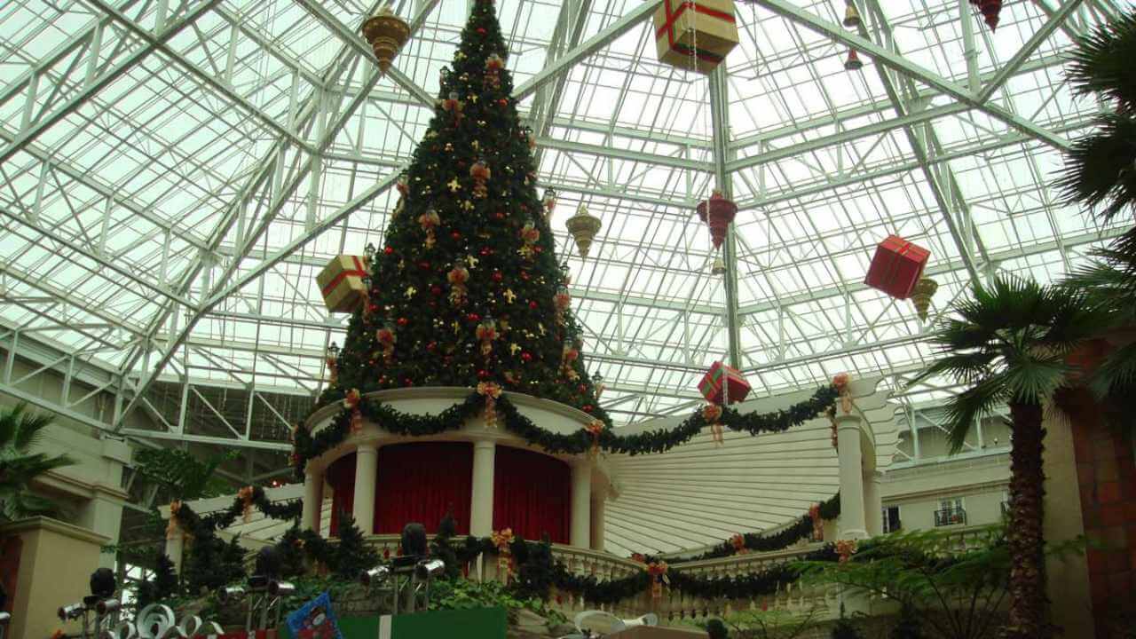 a large christmas tree in the middle of a building