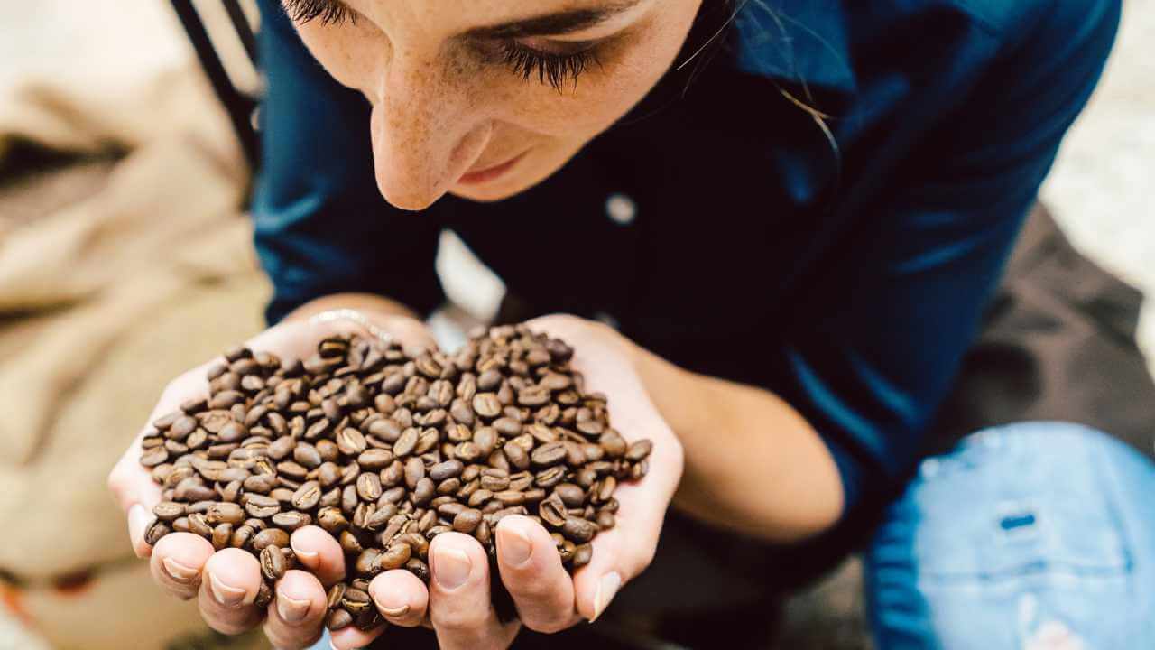 a person is holding coffee beans in their hands