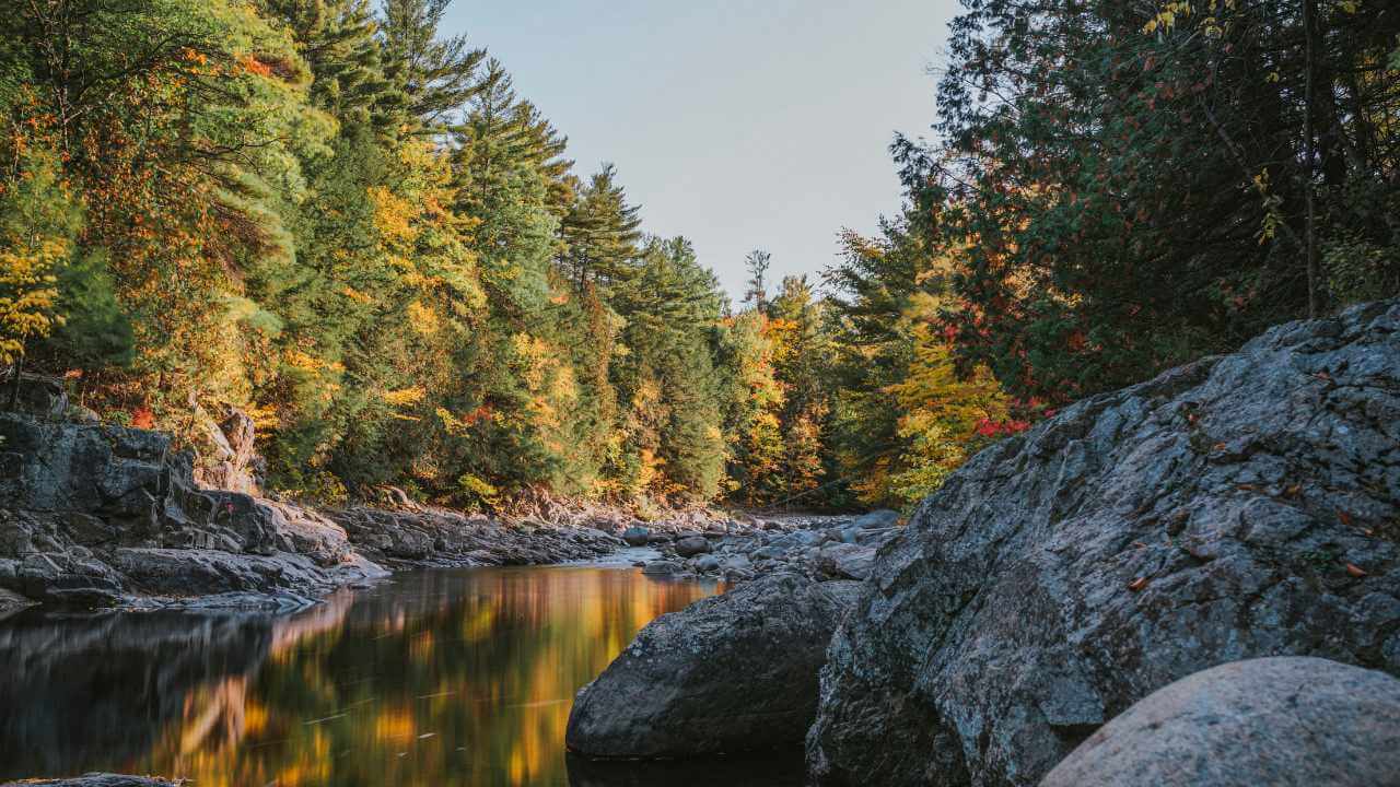 a river surrounded by trees in the fall