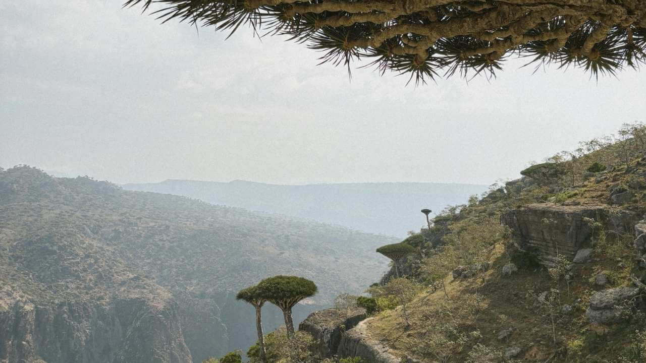 a view of the mountains from the top of a cliff