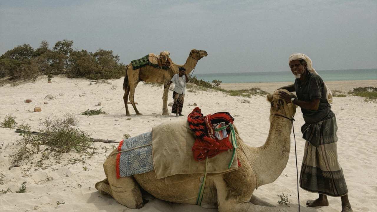 a person standing next to a camel on the beach