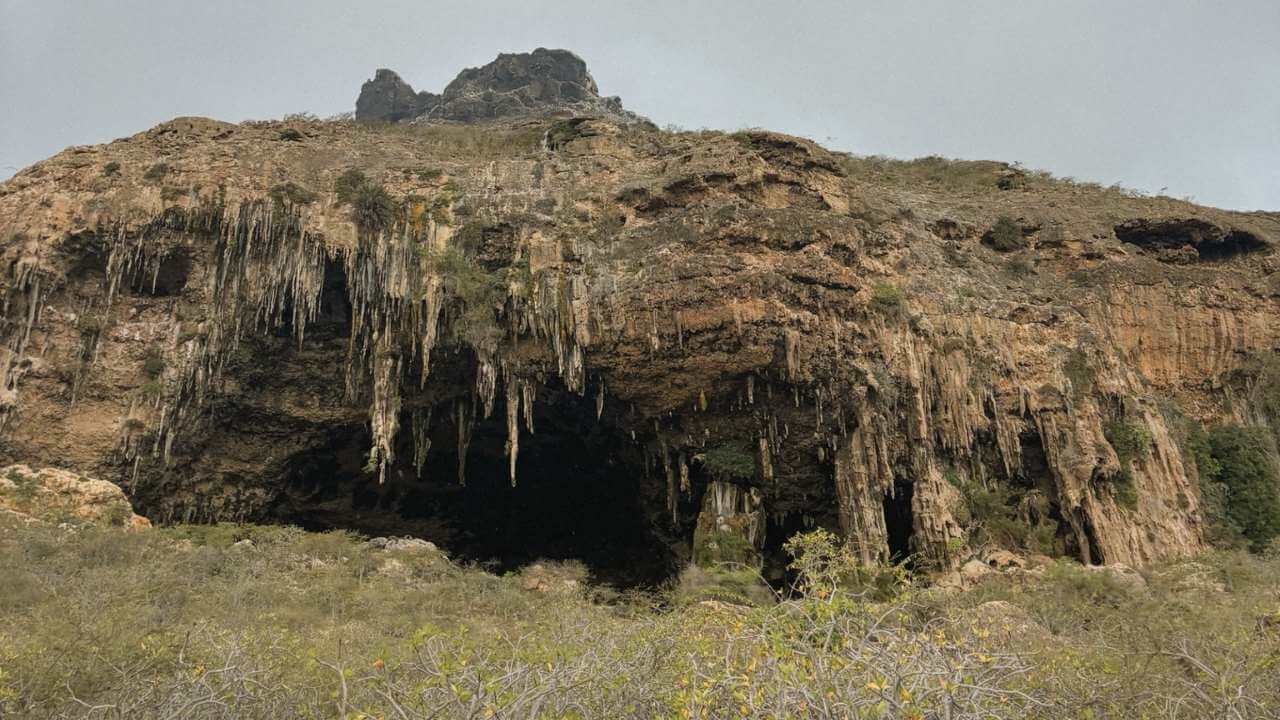 a cave in the mountains with trees and bushes