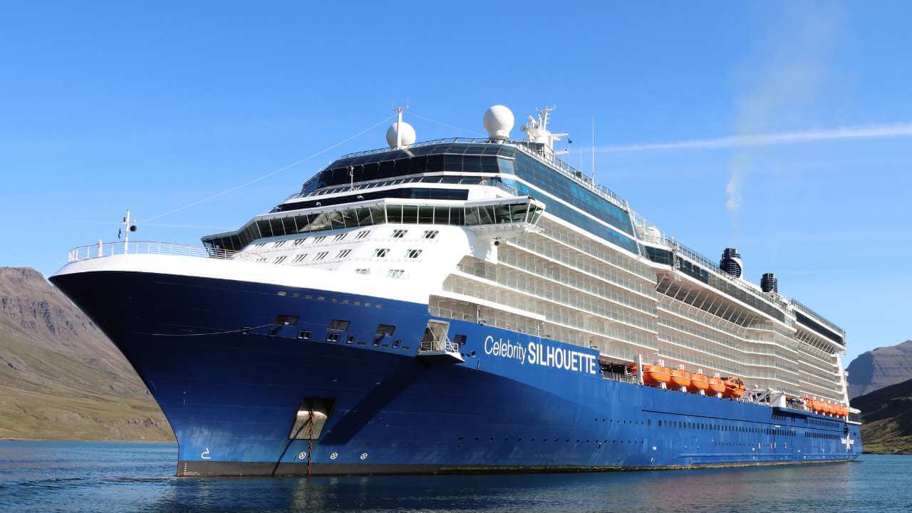 a large blue and white cruise ship in the water