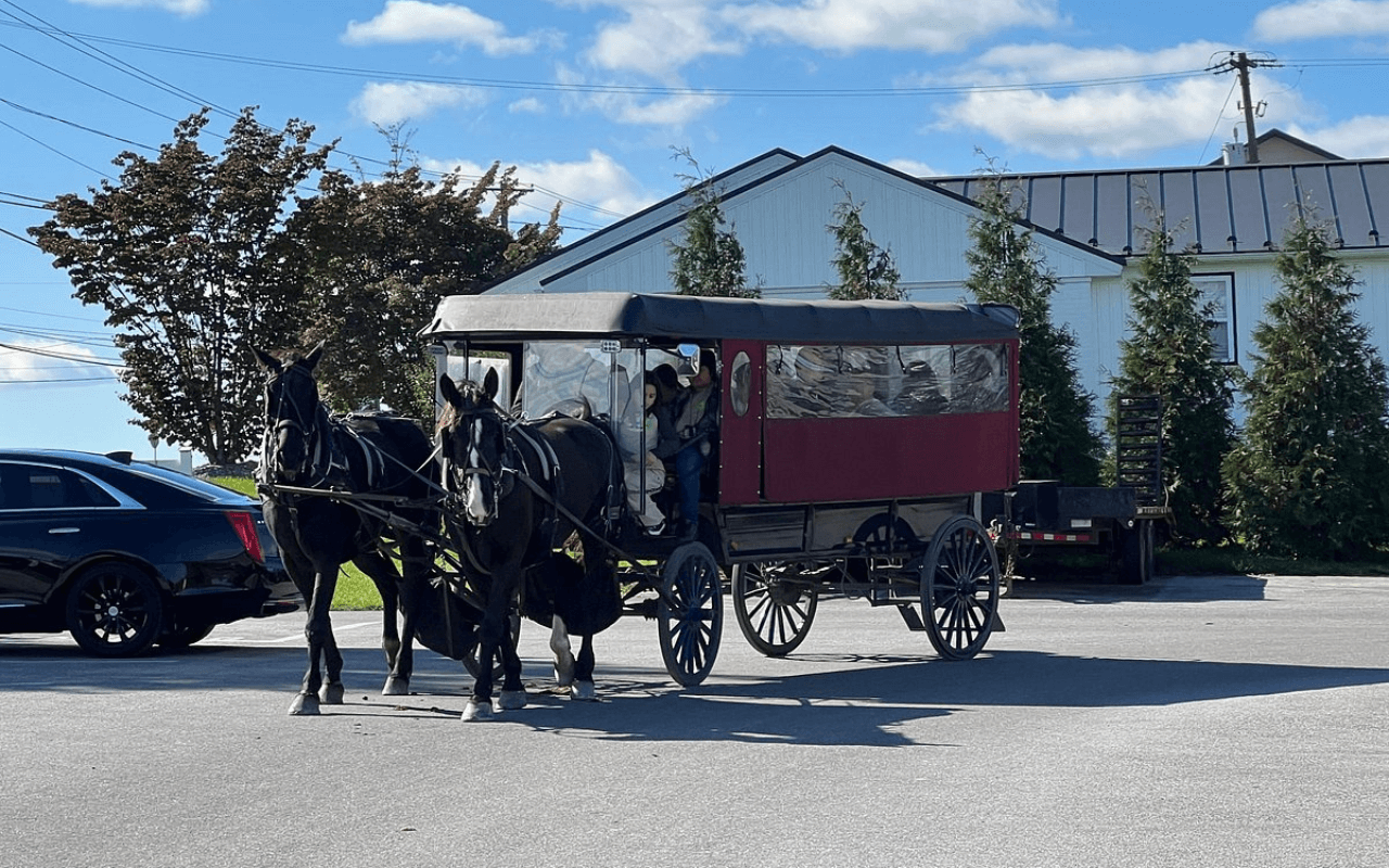 Amish Buggy Rides, Bird in Hand, PA