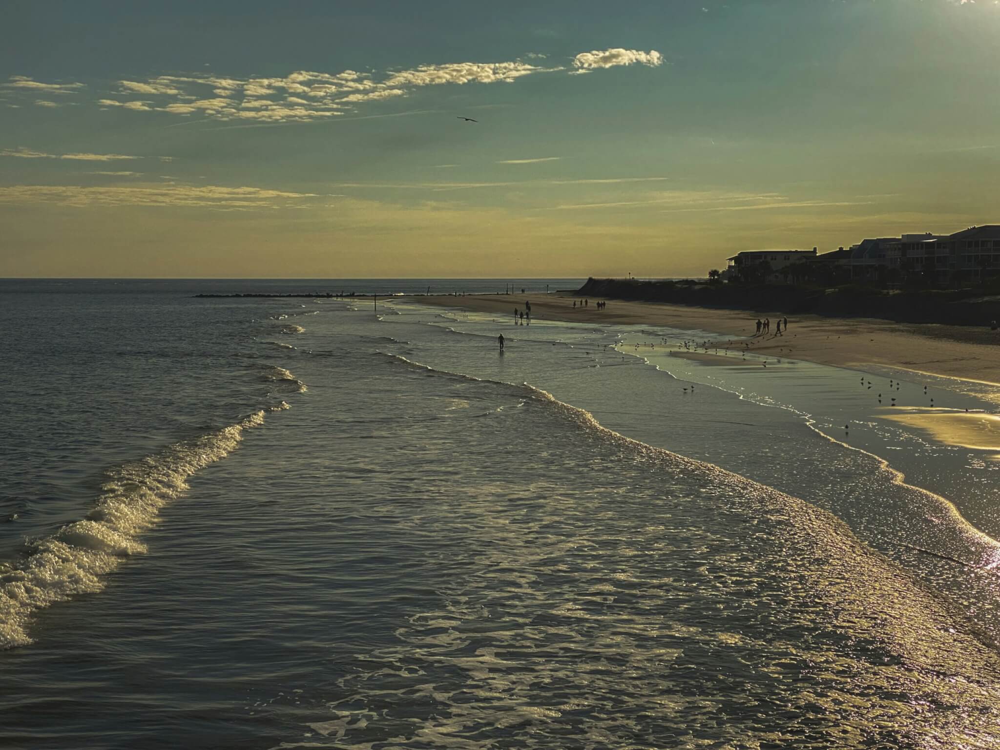 tybee island