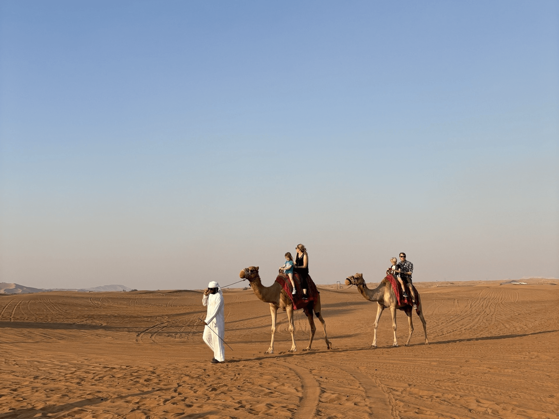 person walking two camels in the sand