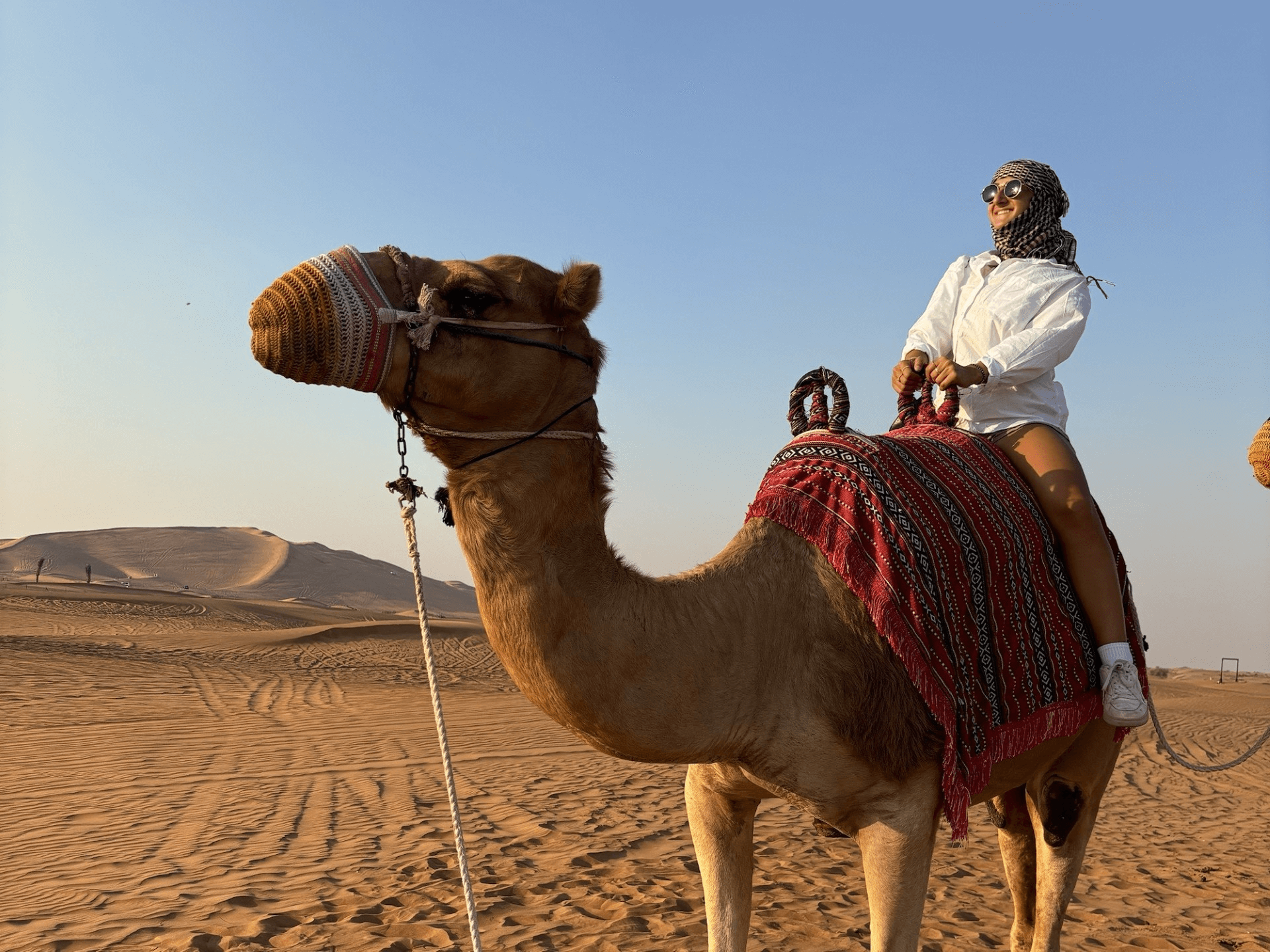 woman riding a camel in dubai