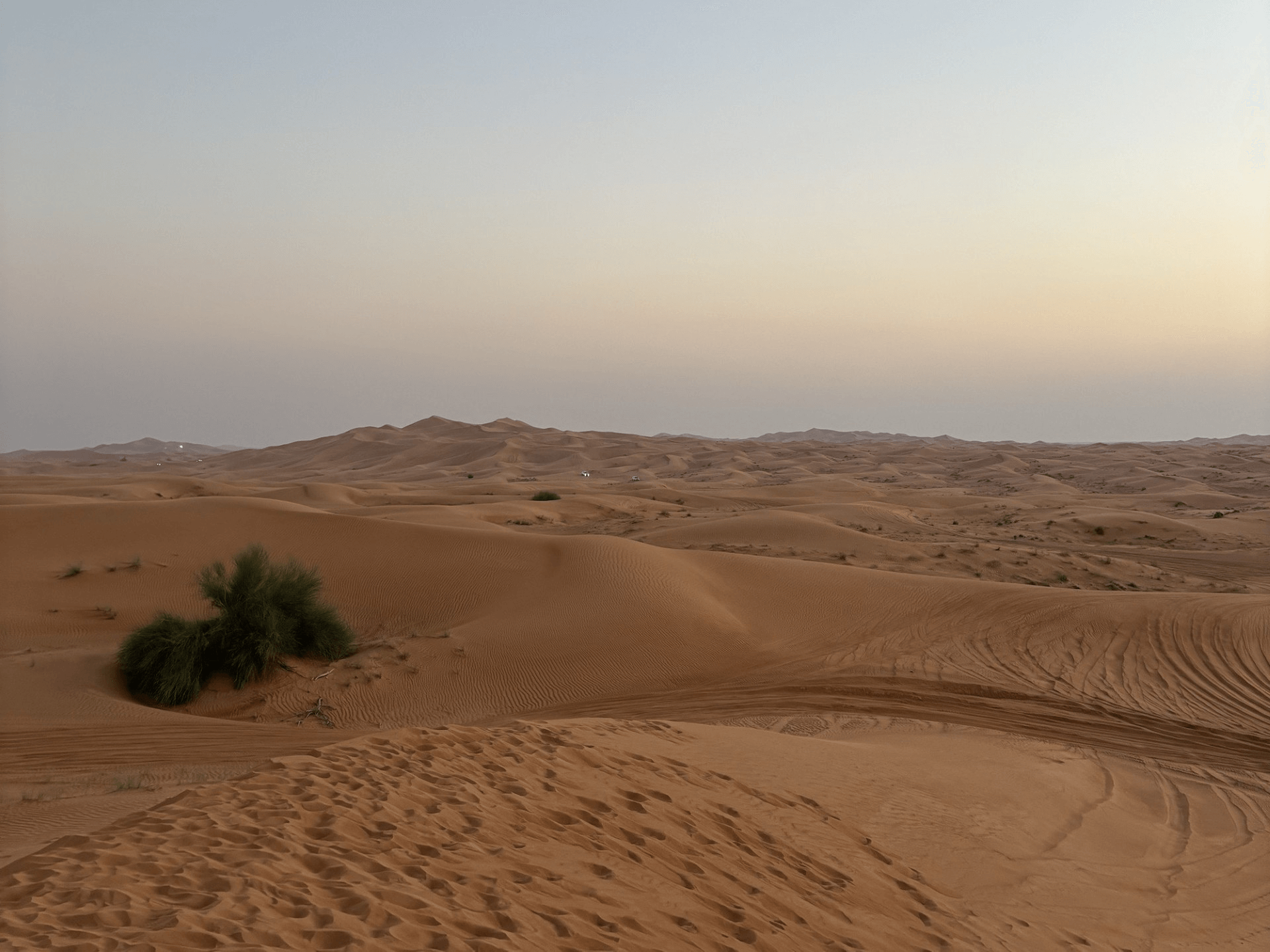 sand in the dubai desert