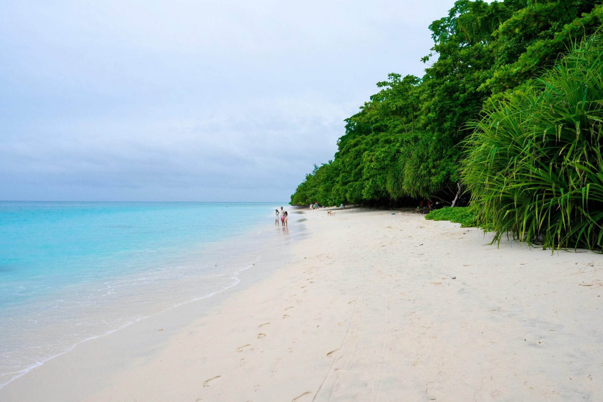 secluded beach